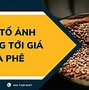 Giá Cà Phê Lâm Đồng Ngày Nay