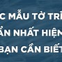 Mẫu Tờ Trình Phê Duyệt Kế Hoạch Lựa Chọn Nhà Thầu Qua Mạng Mới Nhất